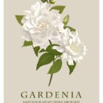 gardenia tee